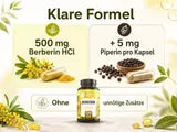Infografik zur Berberin-Formel: 500 mg Berberin HCl und 5 mg Piperin je Kapsel.