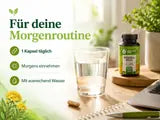 Rhodiola Rosea Dose, Kapseln und ein Glas Wasser auf einem hellen Schreibtisch.