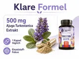 Infografik zur Turkesterone-Formel mit 500 mg Ajuga Turkestanica Extrakt.